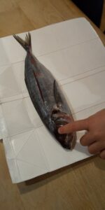あじの塩焼き